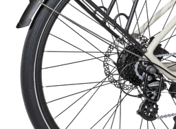 MS ENERGY eBike c40 thumbnail 2