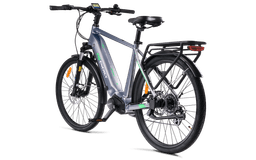 MS ENERGY eBike c101 thumbnail 2